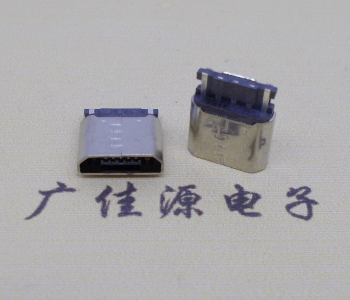 惠东焊线micro 2p母座连接器