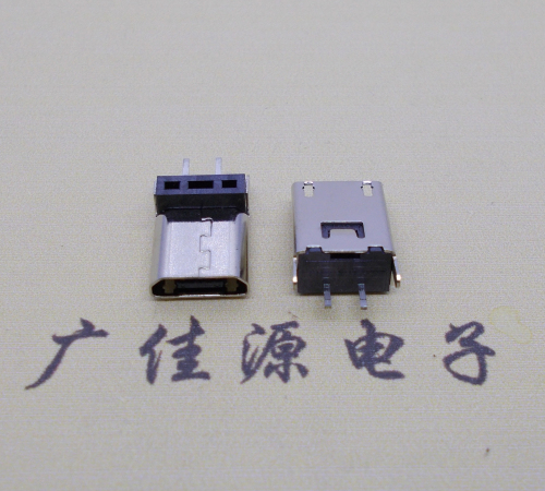 惠东micro 2p直插母座无卷边180度铆合式H=9.3、10.0、10.5、11.5mm