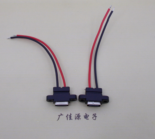 惠东简易type c2p防水母座带螺丝孔焊线式带线